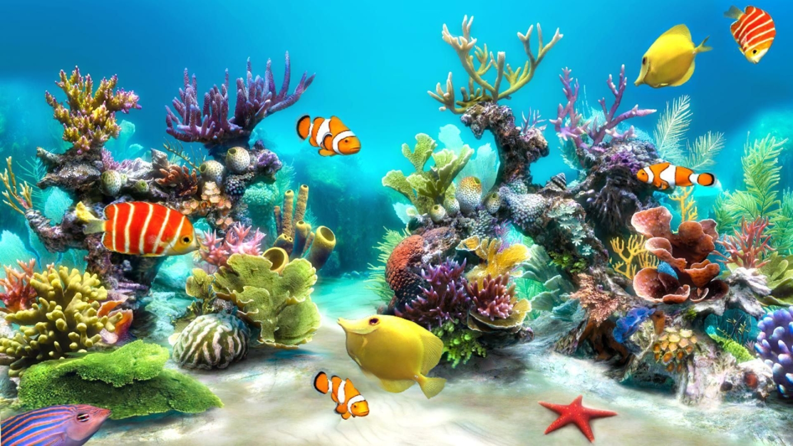 Aquarium-Fish-Tank-Wallpapers